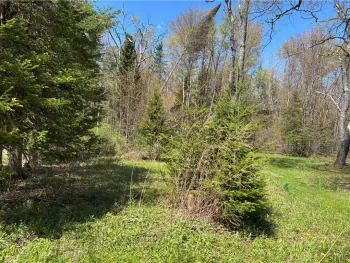 Property at 3960 Susquehannah Street, Remsen, NY 13438