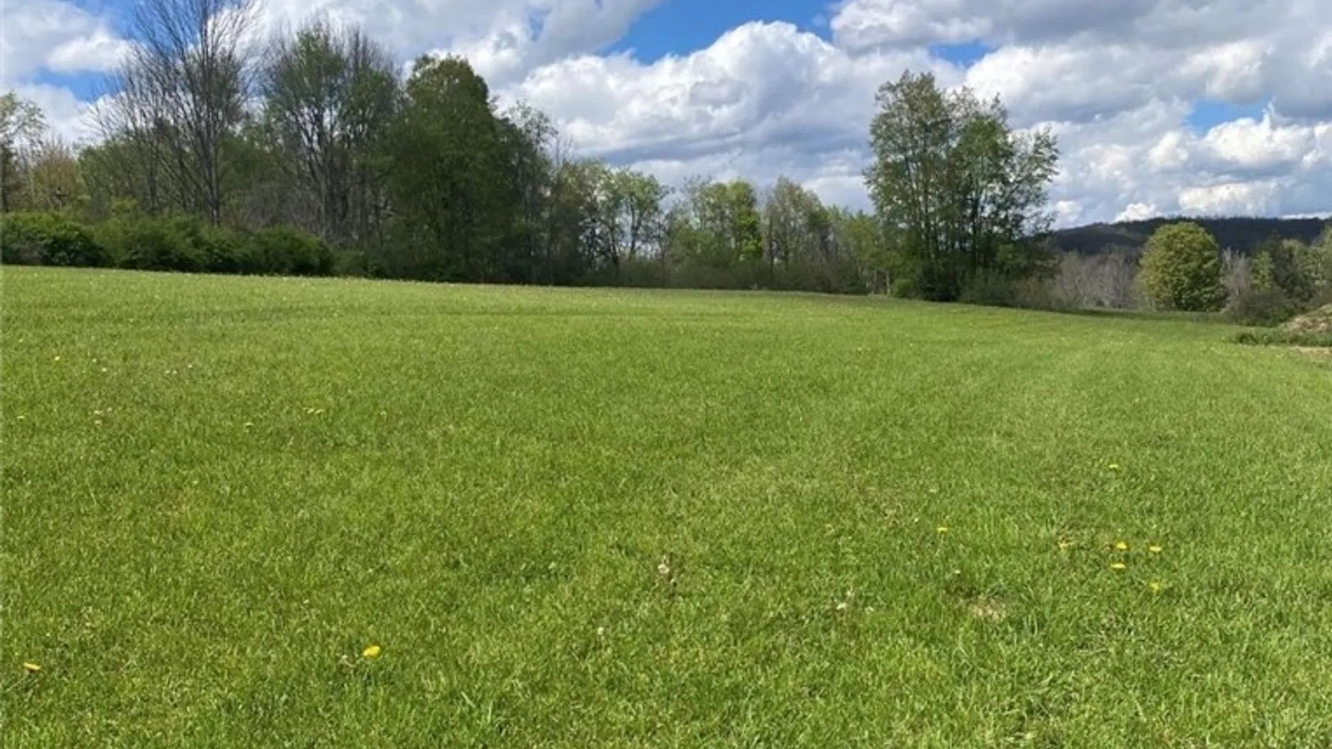 Property at Rt-305, Cuba, NY 14727 12