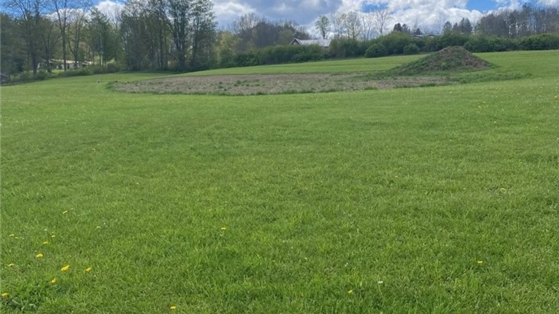 Property at Rt-305, Cuba, NY 14727 15
