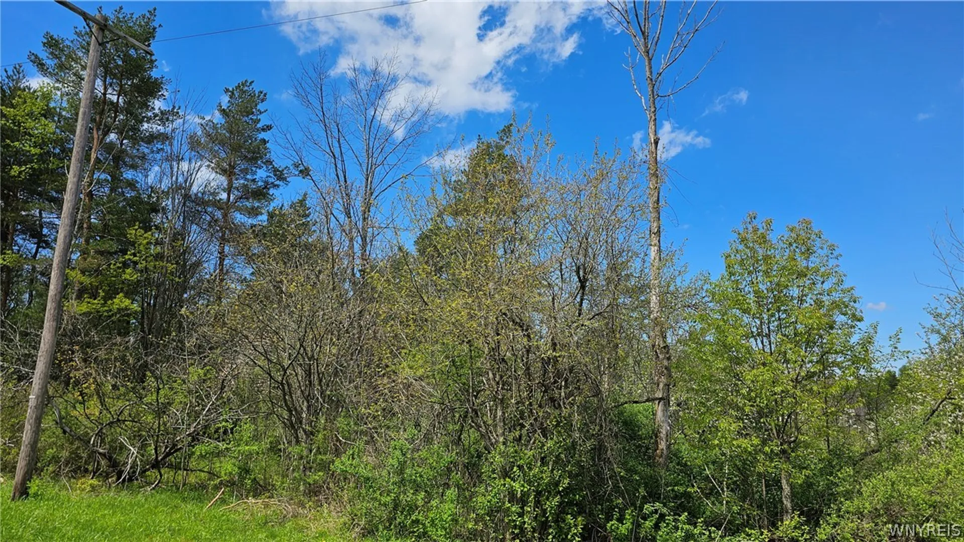 Property at Murray Hill Road, Colden, NY 14033 4