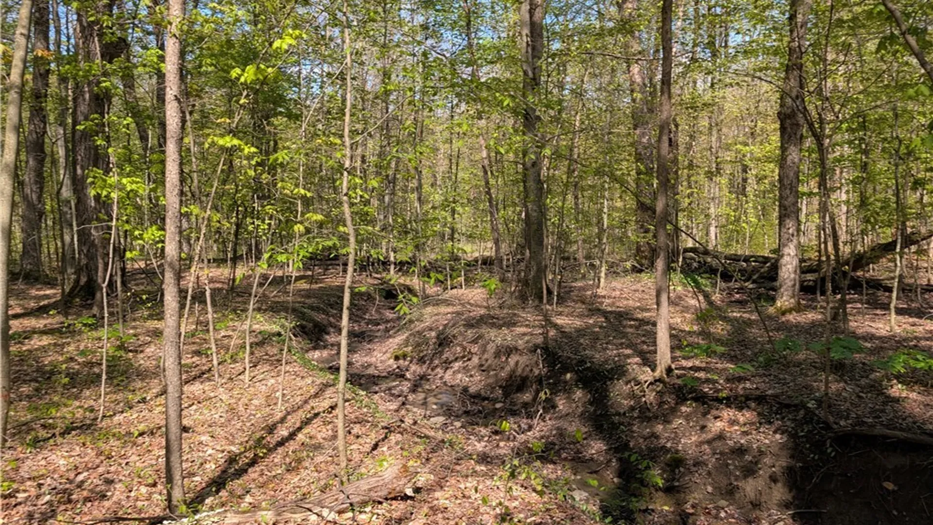 Property at Murray Hill Road, Colden, NY 14033 14