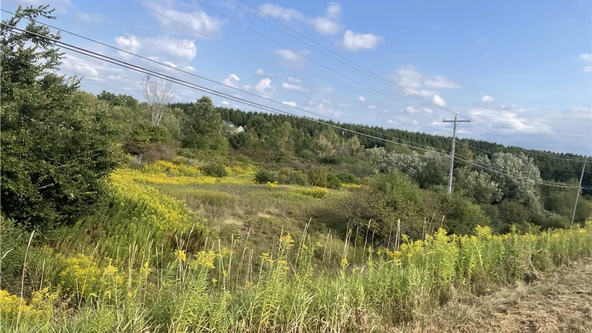 Property at 30105 US Route 11, Le Ray, NY 13637 3