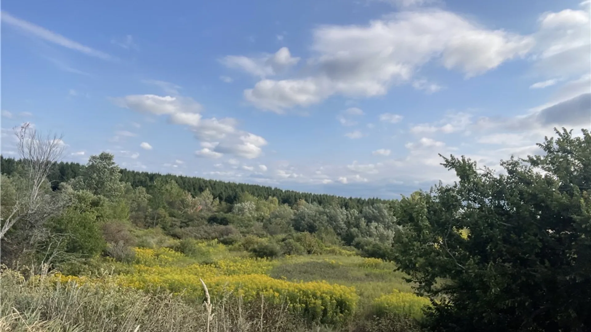 Property at 30105 US Route 11, Le Ray, NY 13637 4