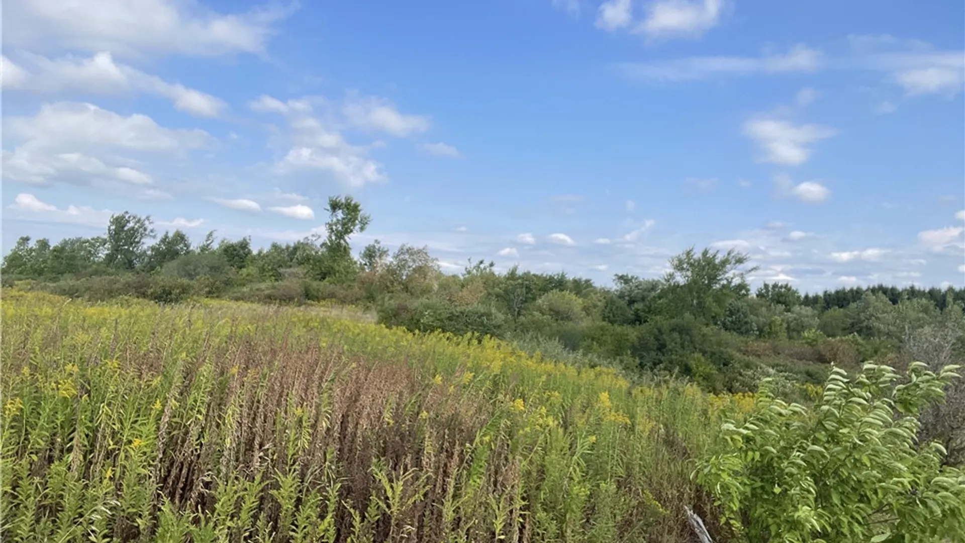 Property at 30105 US Route 11, Le Ray, NY 13637 5