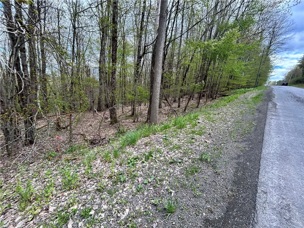 Property at Mary Brown Hill Road, Laurens, NY 13796