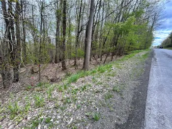 Property at Mary Brown Hill Road, Laurens, NY 13796