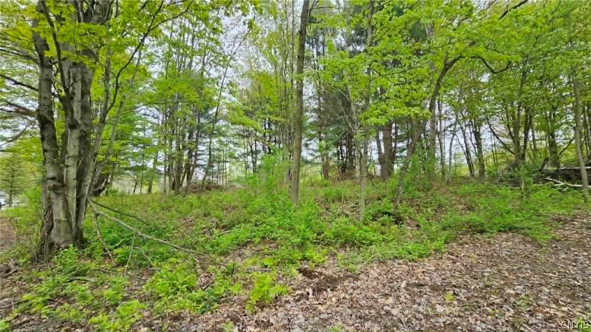Property at 3147 Co Rt 2, Richland, NY 13142 3