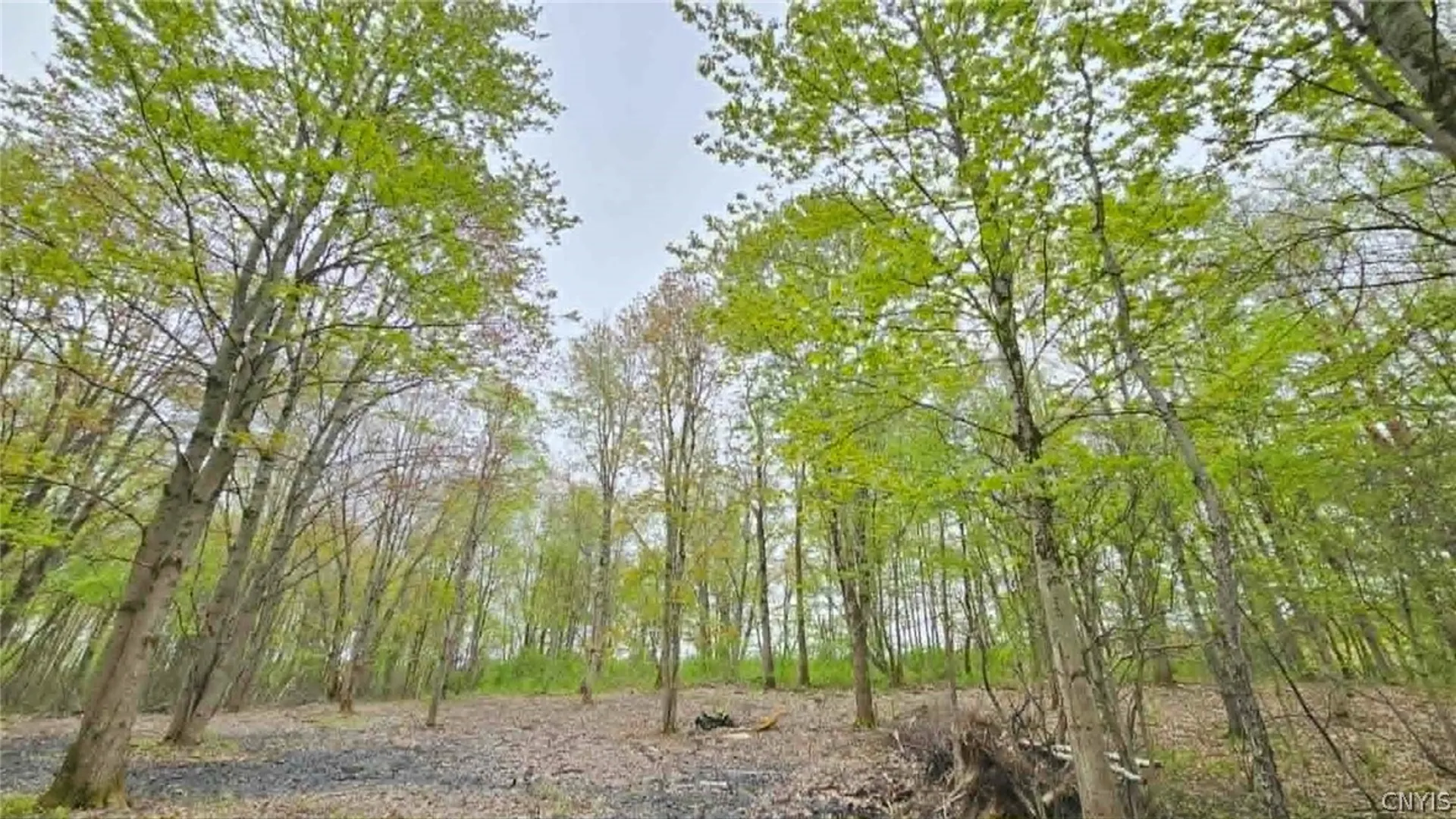 Property at 3147 Co Rt 2, Richland, NY 13142 7