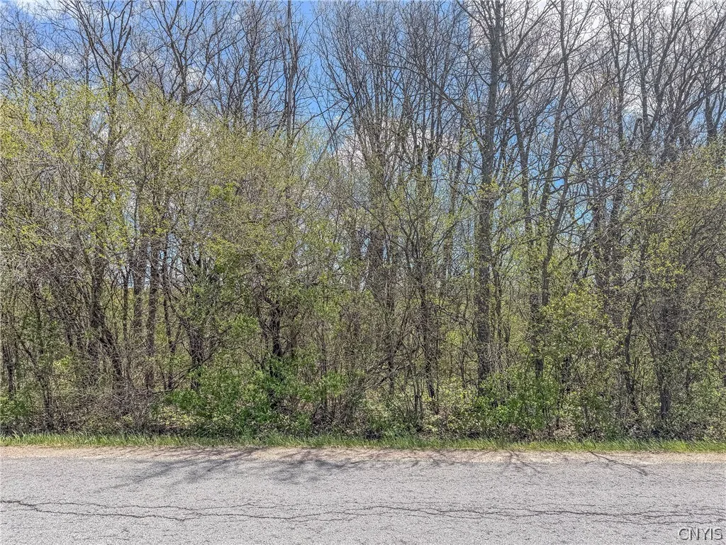 Property at Old Town Springs Road, Clayton, NY 13622