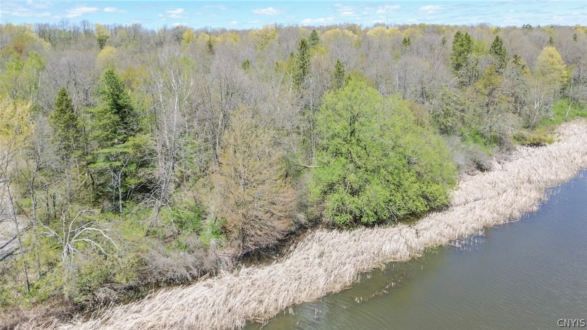 Property at Old Town Springs Road, Clayton, NY 13622 5