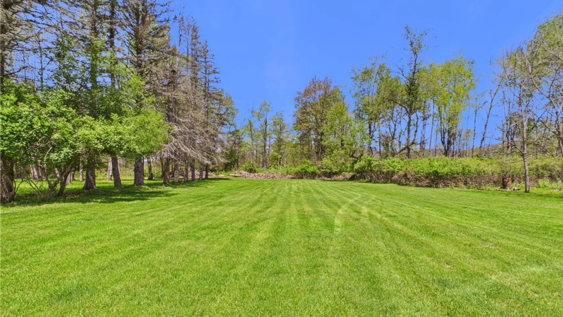 Property at 3402 Fortune Drive, Allegany, NY 14706 27