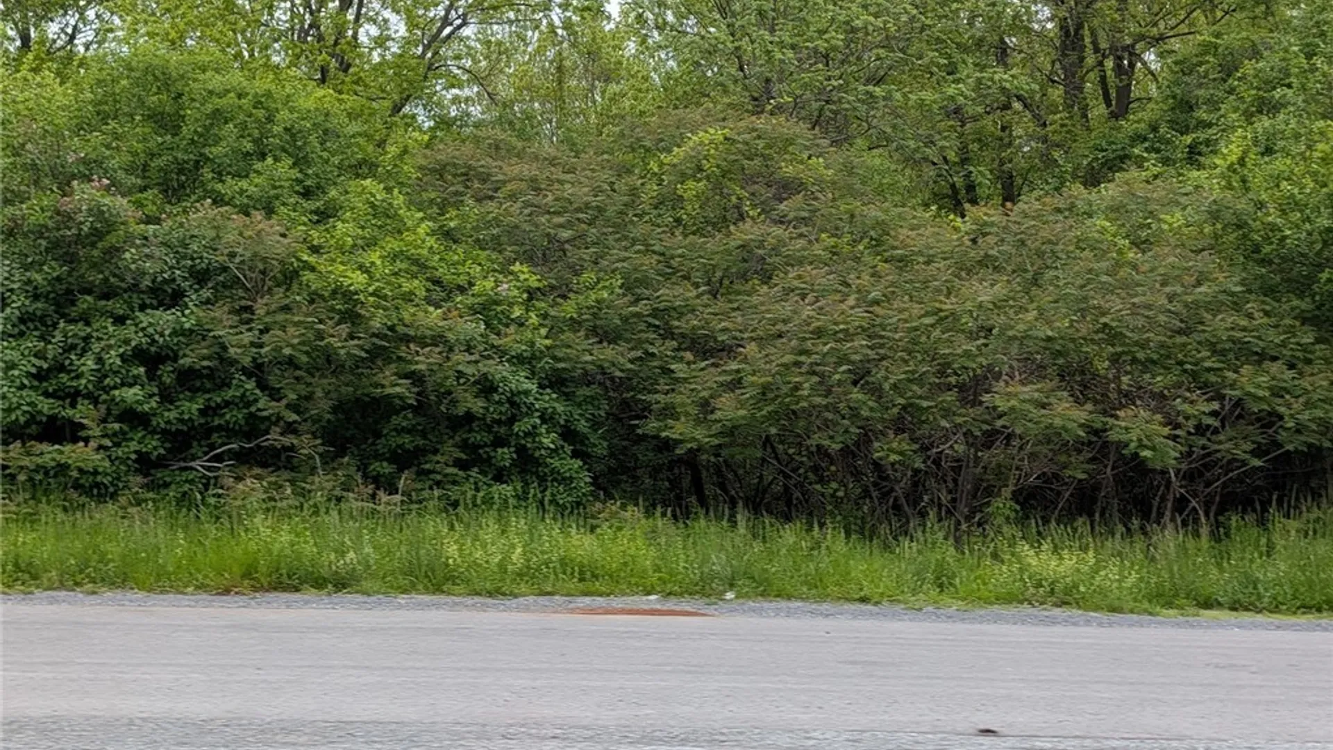 Property at US Rte 11, Watertown Town, NY 13601 24