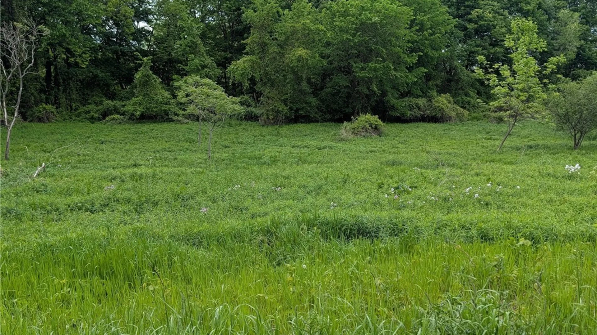 Property at US Rte 11, Watertown Town, NY 13601 26