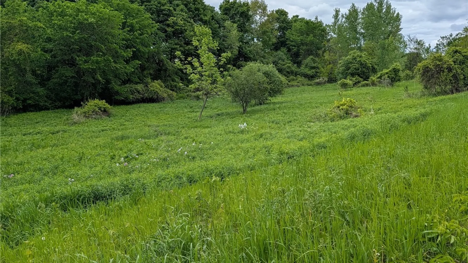 Property at US Rte 11, Watertown Town, NY 13601 27