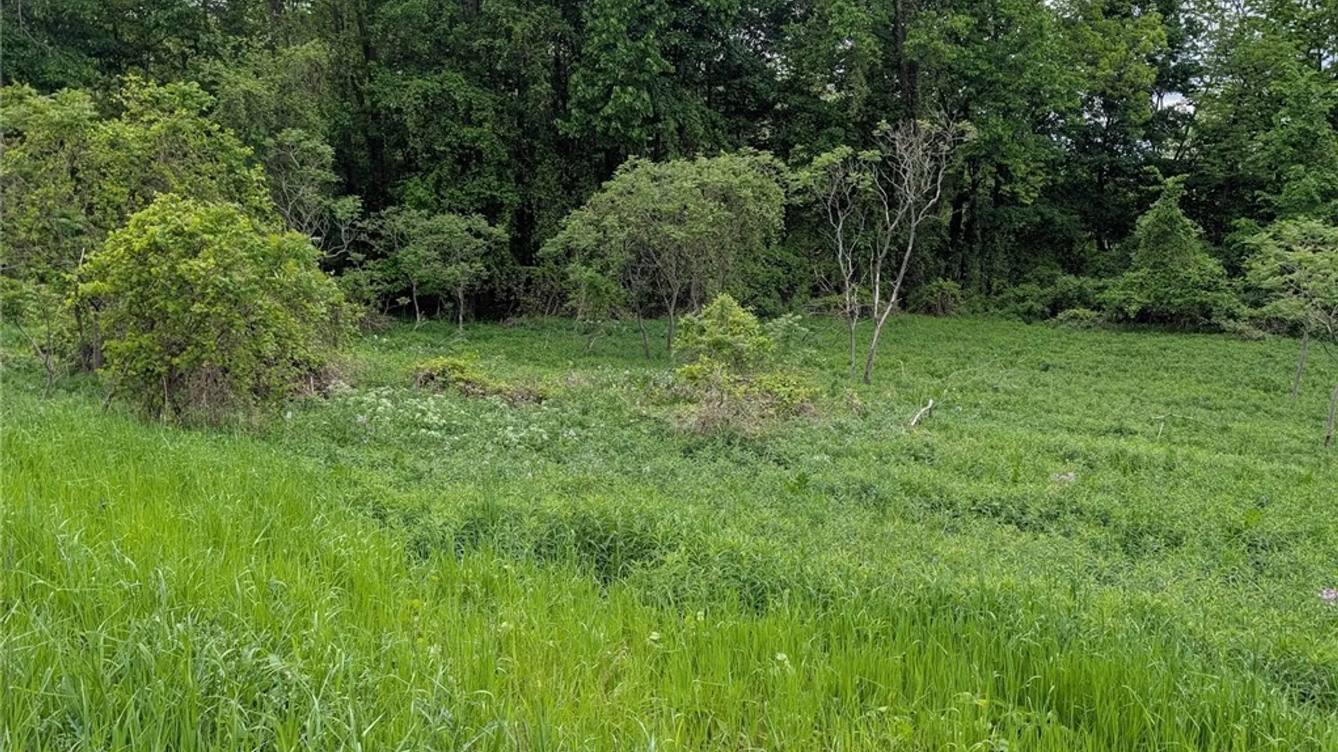 Property at Washington, Watertown Town, NY 13601 25