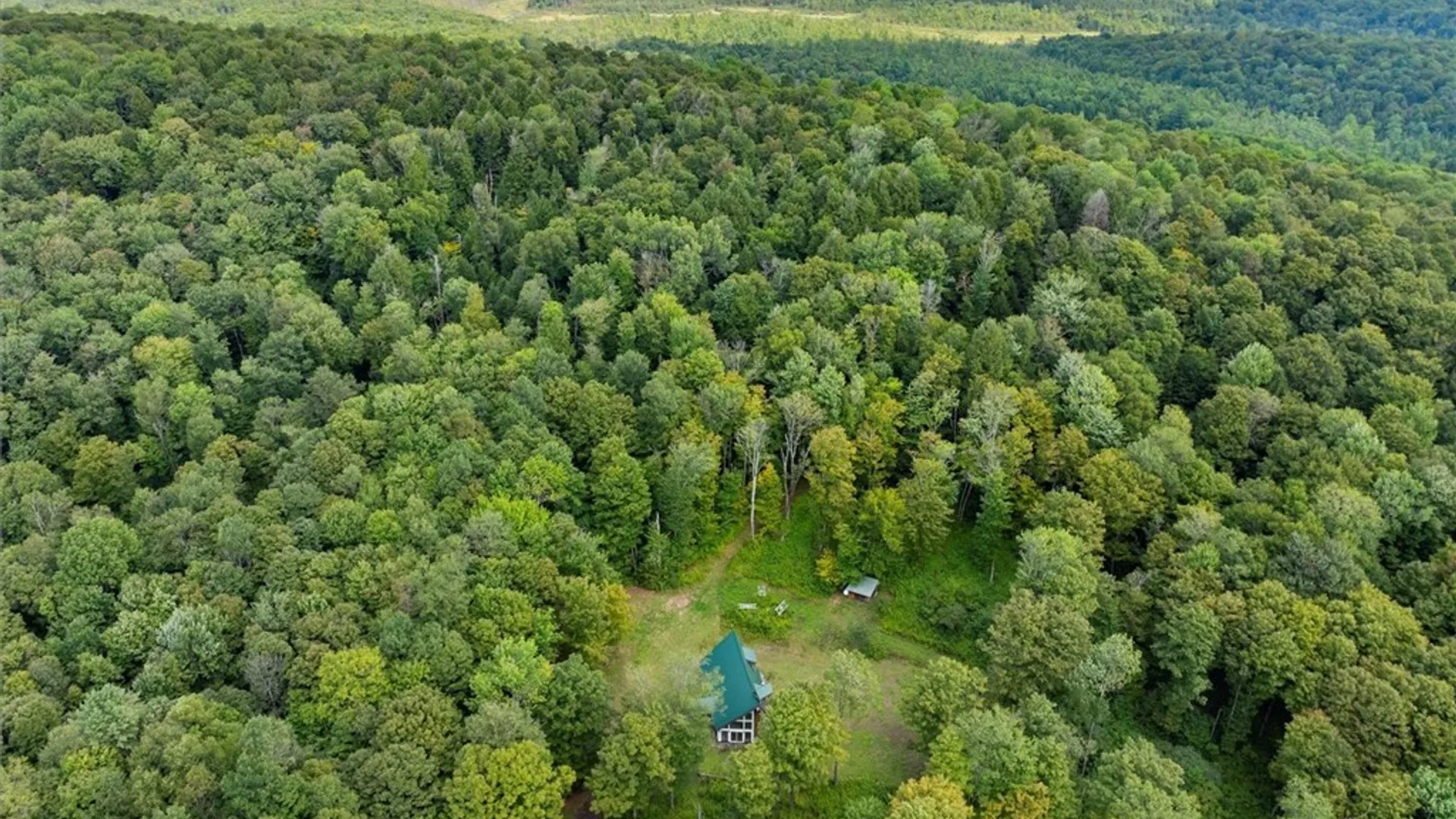 Property at 2236 Gorton Lake, Brookfield, NY 13485 41