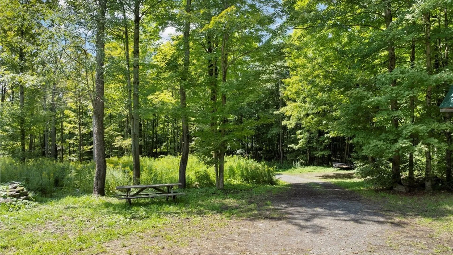 Property at 2236 Gorton Lake, Brookfield, NY 13485 44