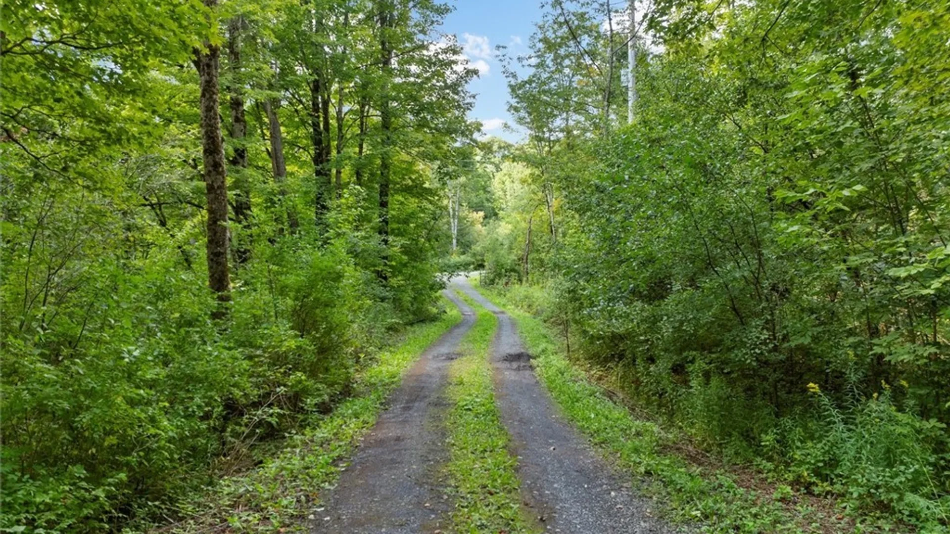 Property at 2236 Gorton Lake, Brookfield, NY 13485 47