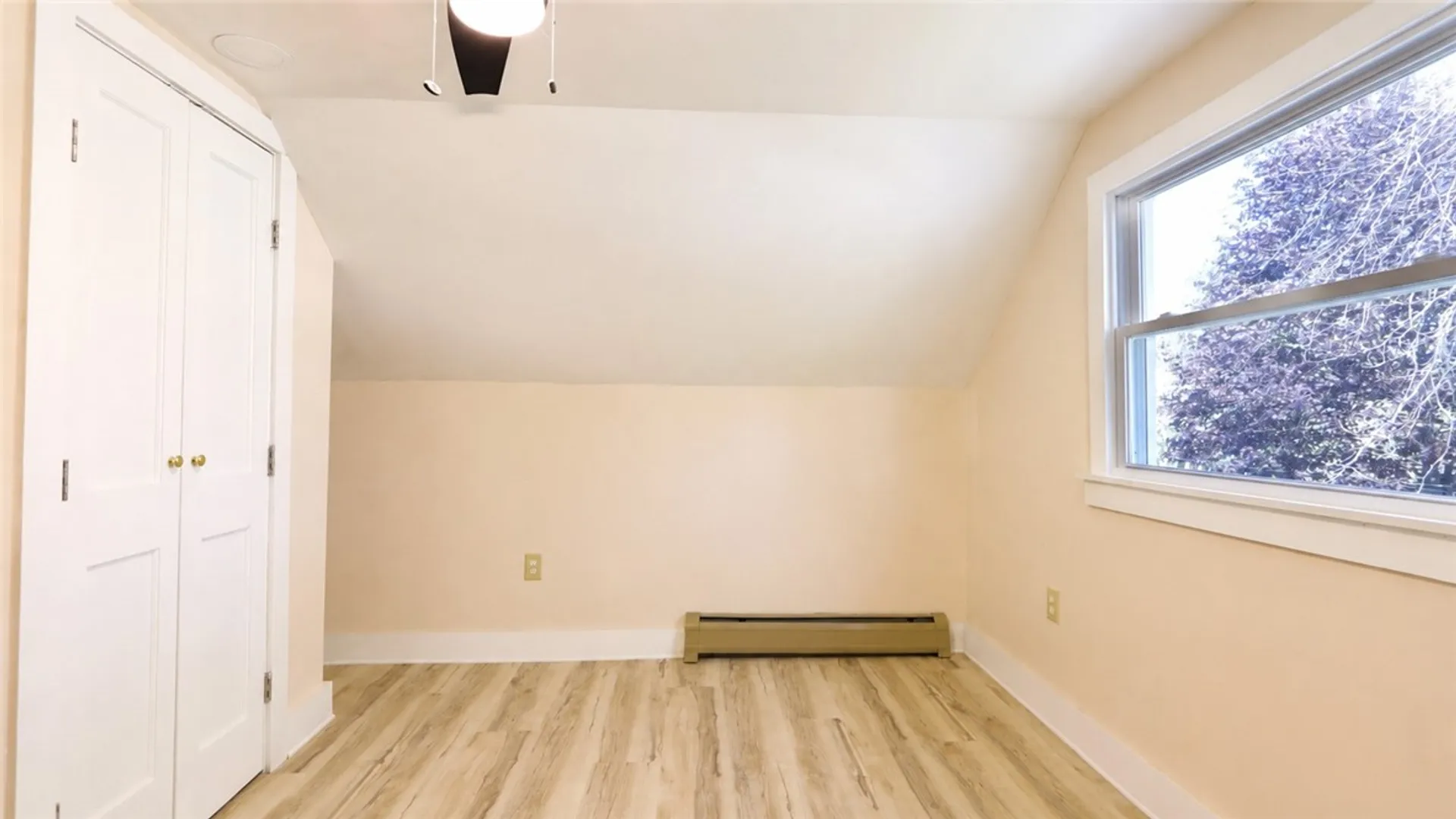 Property at 135 Andes Avenue, Geneva City, NY 14456 27