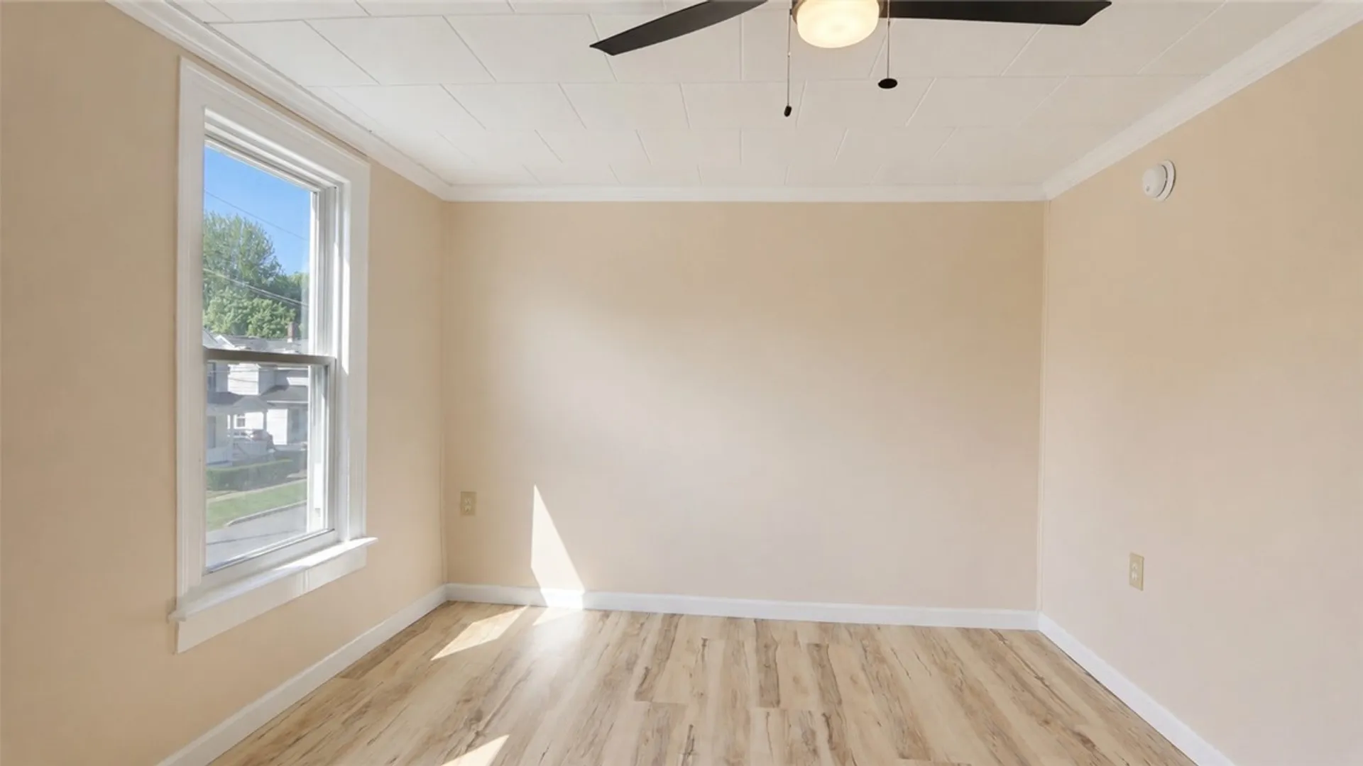 Property at 135 Andes Avenue, Geneva City, NY 14456 38