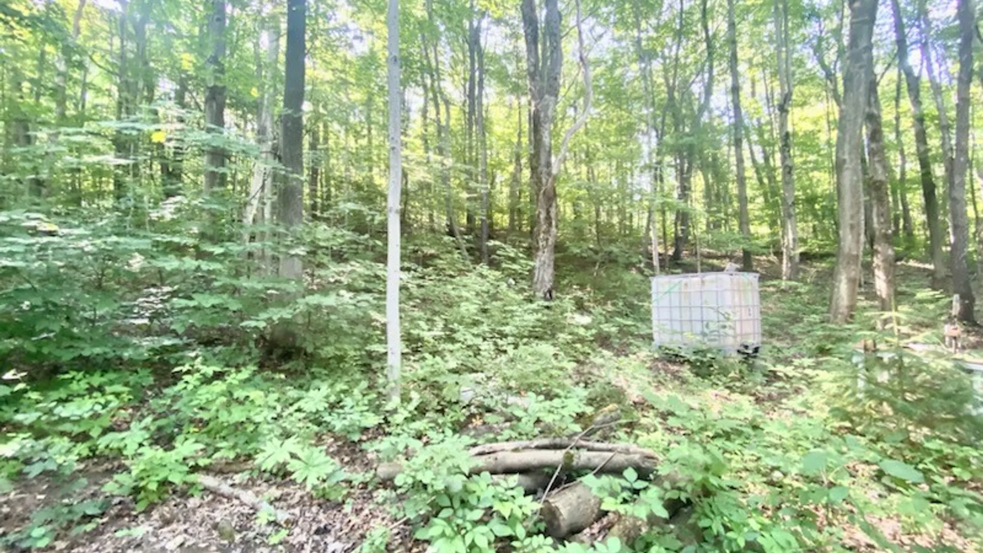 Property at 6973 Echo Mountain Road, Canadice, NY 14560 13