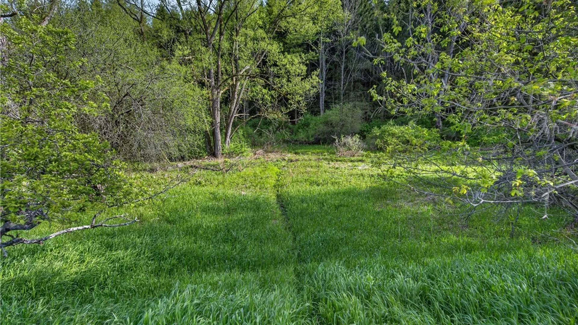 Property at 1024 North Road, Tully, NY 13159 40
