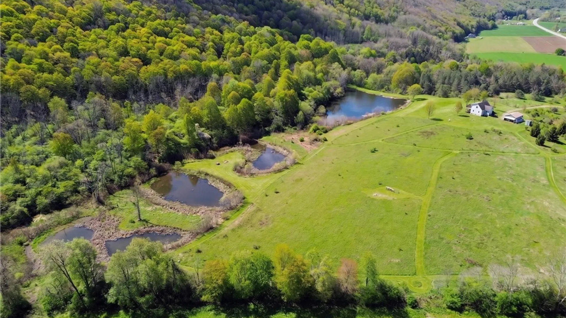Property at 10848 State Route 371, Cohocton, NY 14826 42