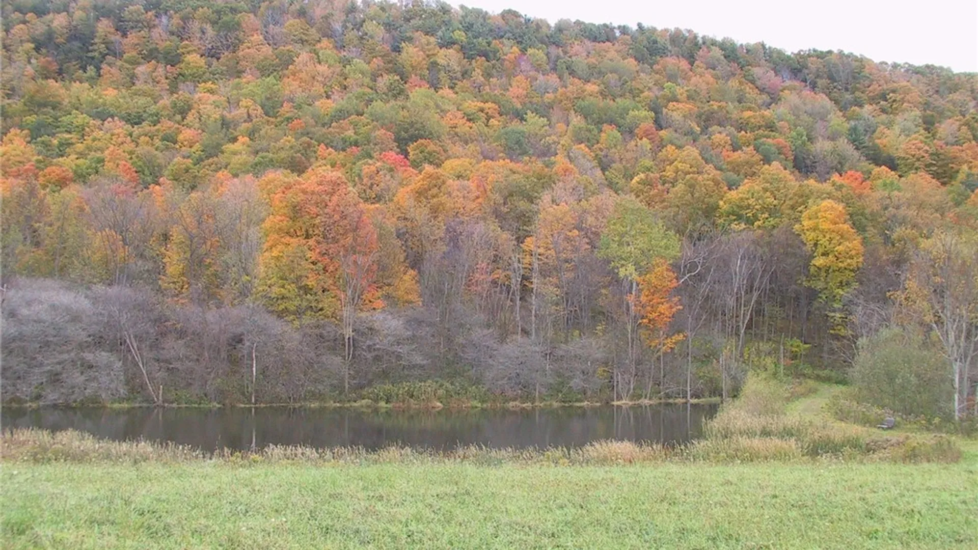 Property at 10848 State Route 371, Cohocton, NY 14826 47