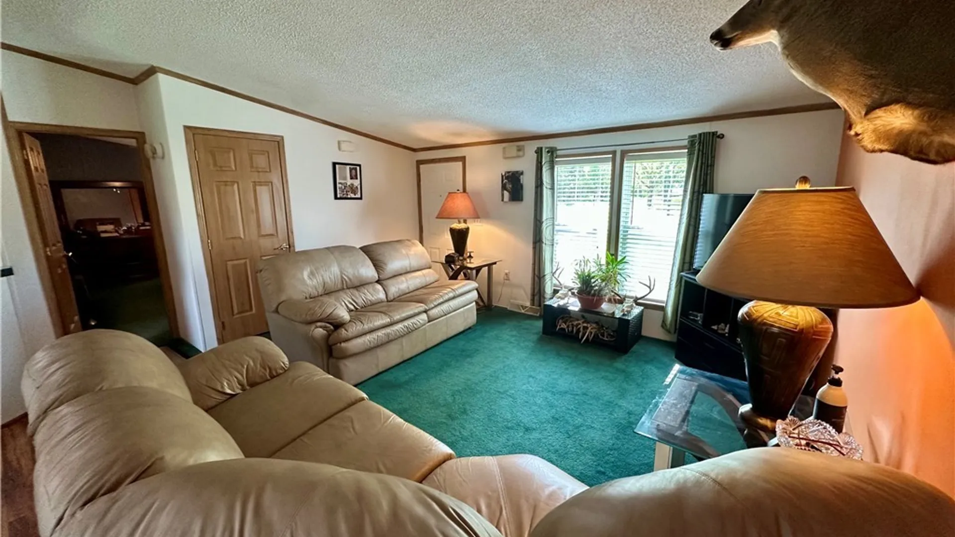 Property at 8090 E Otto Otto Road, East Otto, NY 14729 5