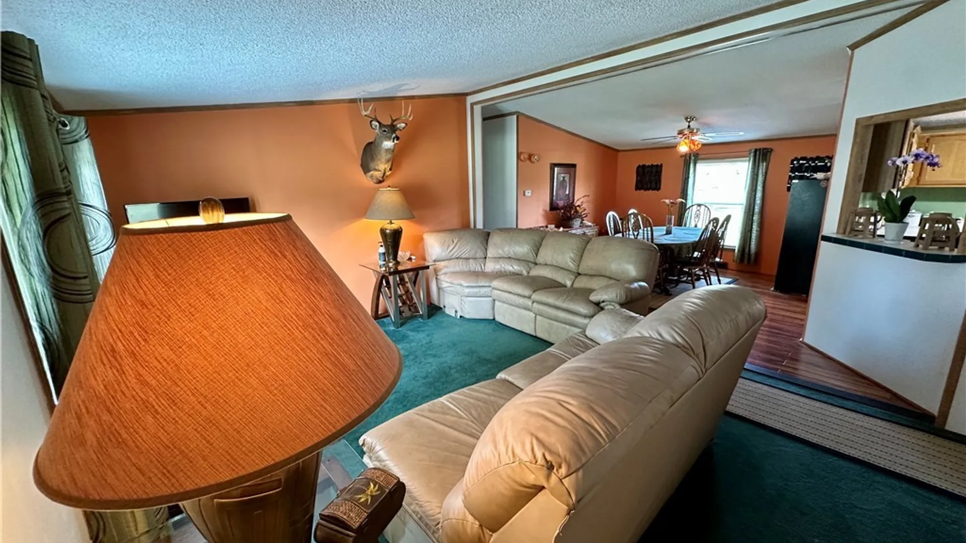 Property at 8090 E Otto Otto Road, East Otto, NY 14729 6