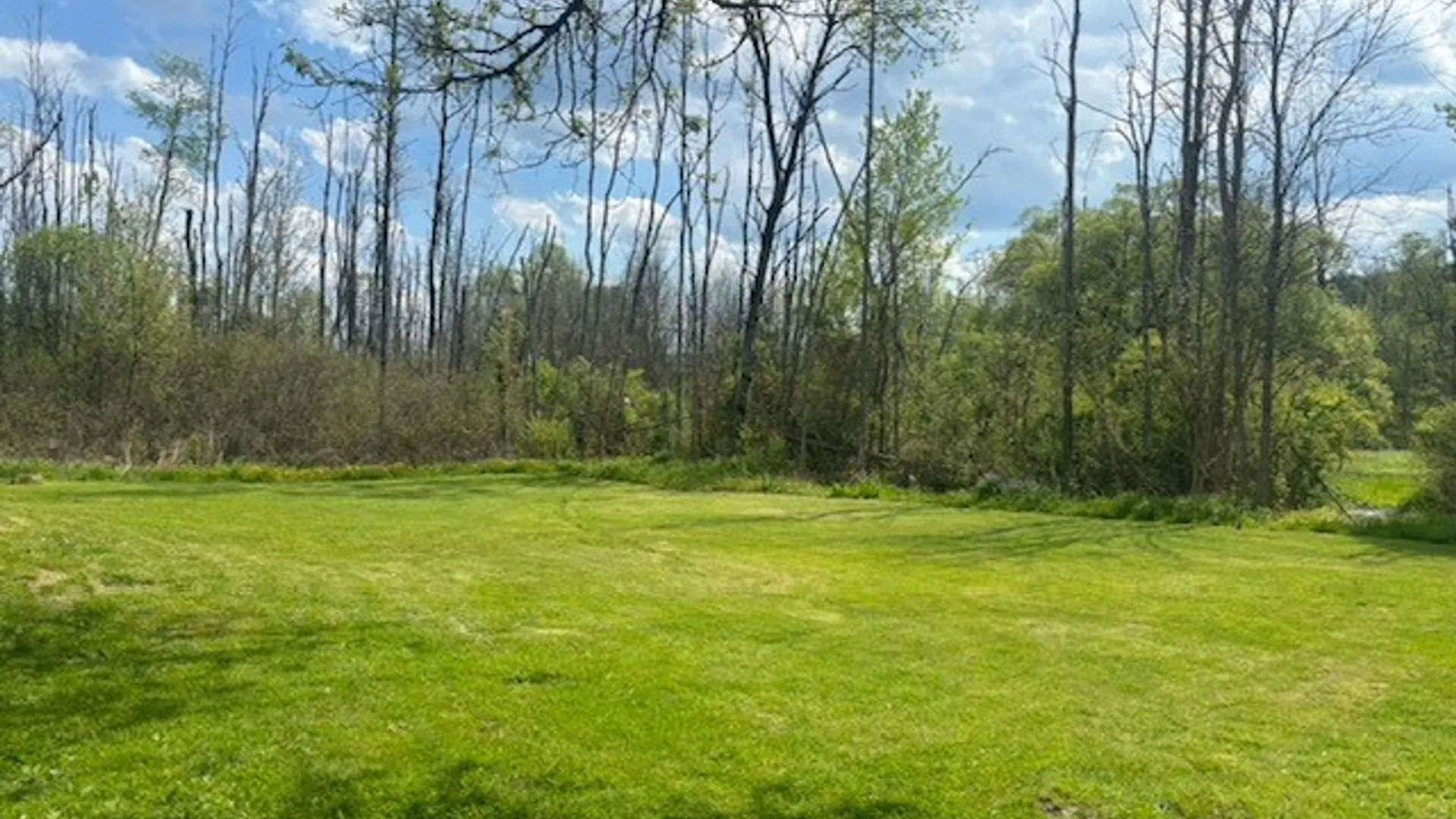 Property at 814 Owego Road, Candor, NY 13743 17