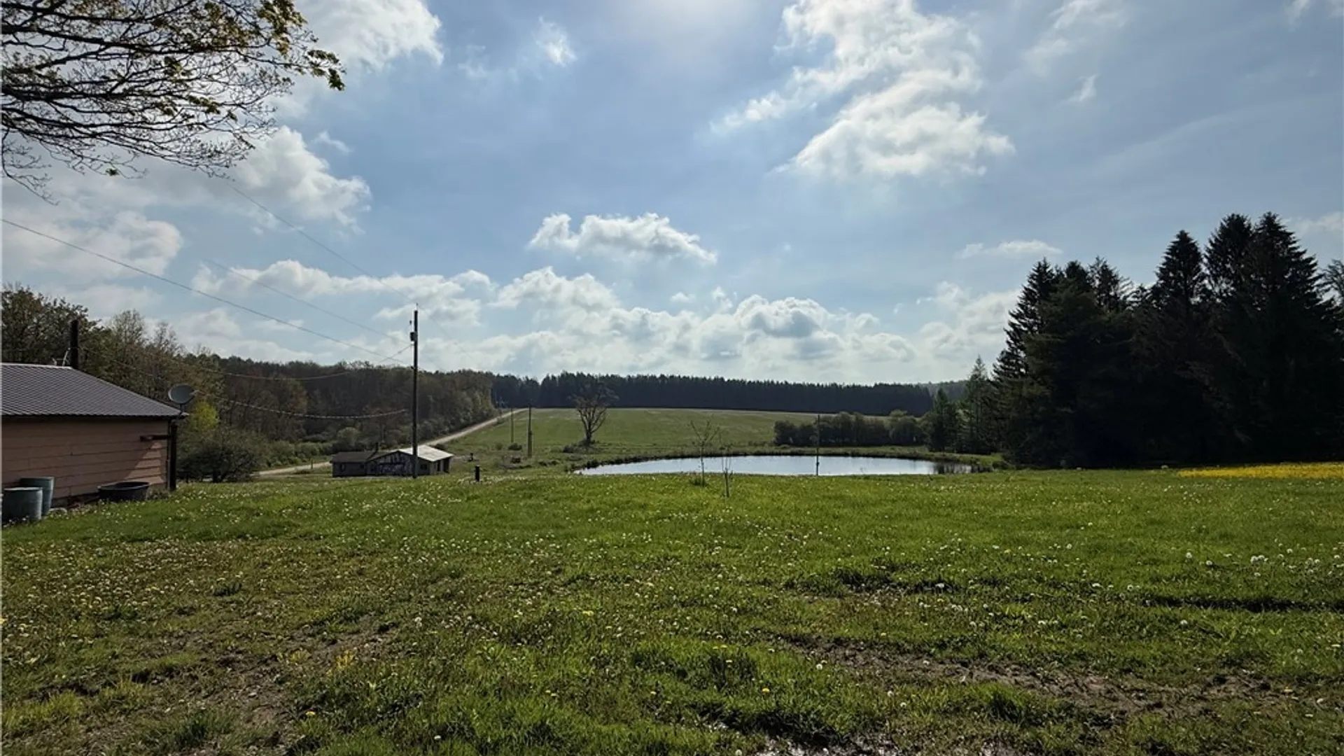 Property at 4083 Closser Road, Allen, NY 14709 23