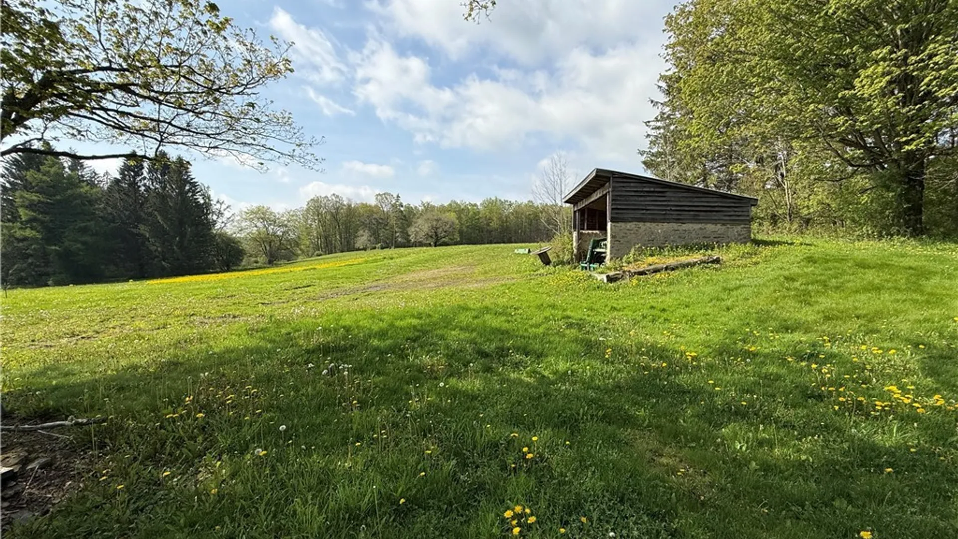 Property at 4083 Closser Road, Allen, NY 14709 25