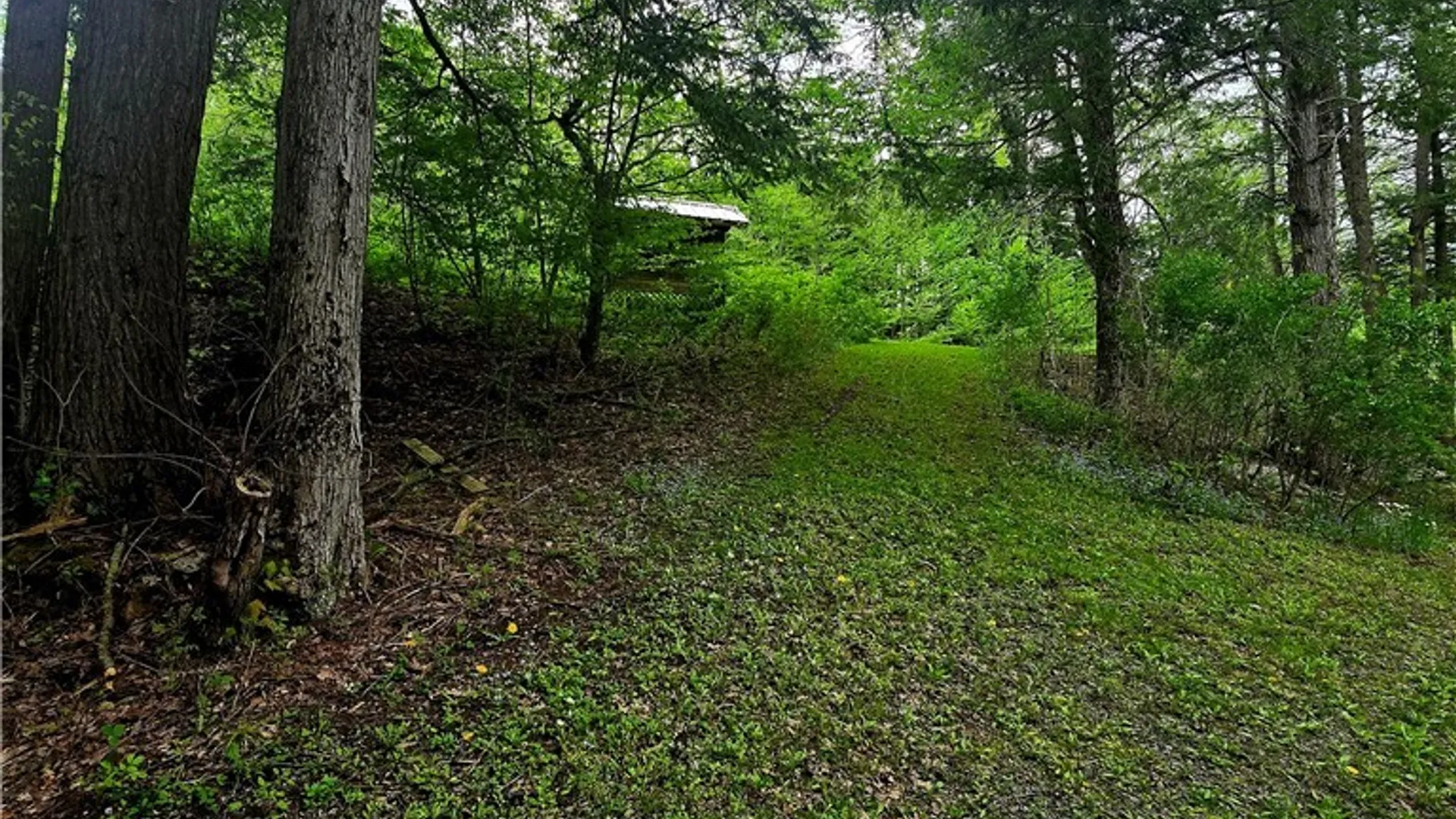 Property at 2996 W Lake Road, Brookfield, NY 13485 21