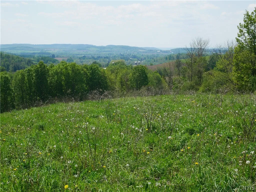 Property at Canning Factory Road, Marshall, NY 13328