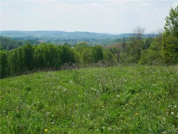Property at Canning Factory Road, Marshall, NY 13328