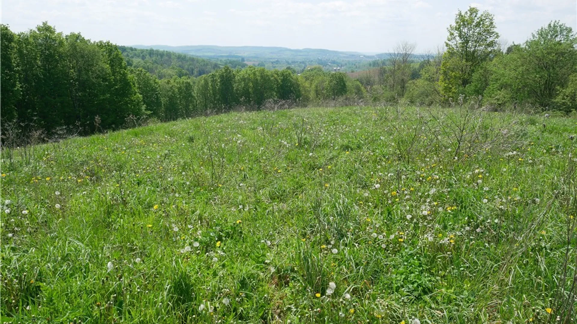Property at Canning Factory Road, Marshall, NY 13328 4