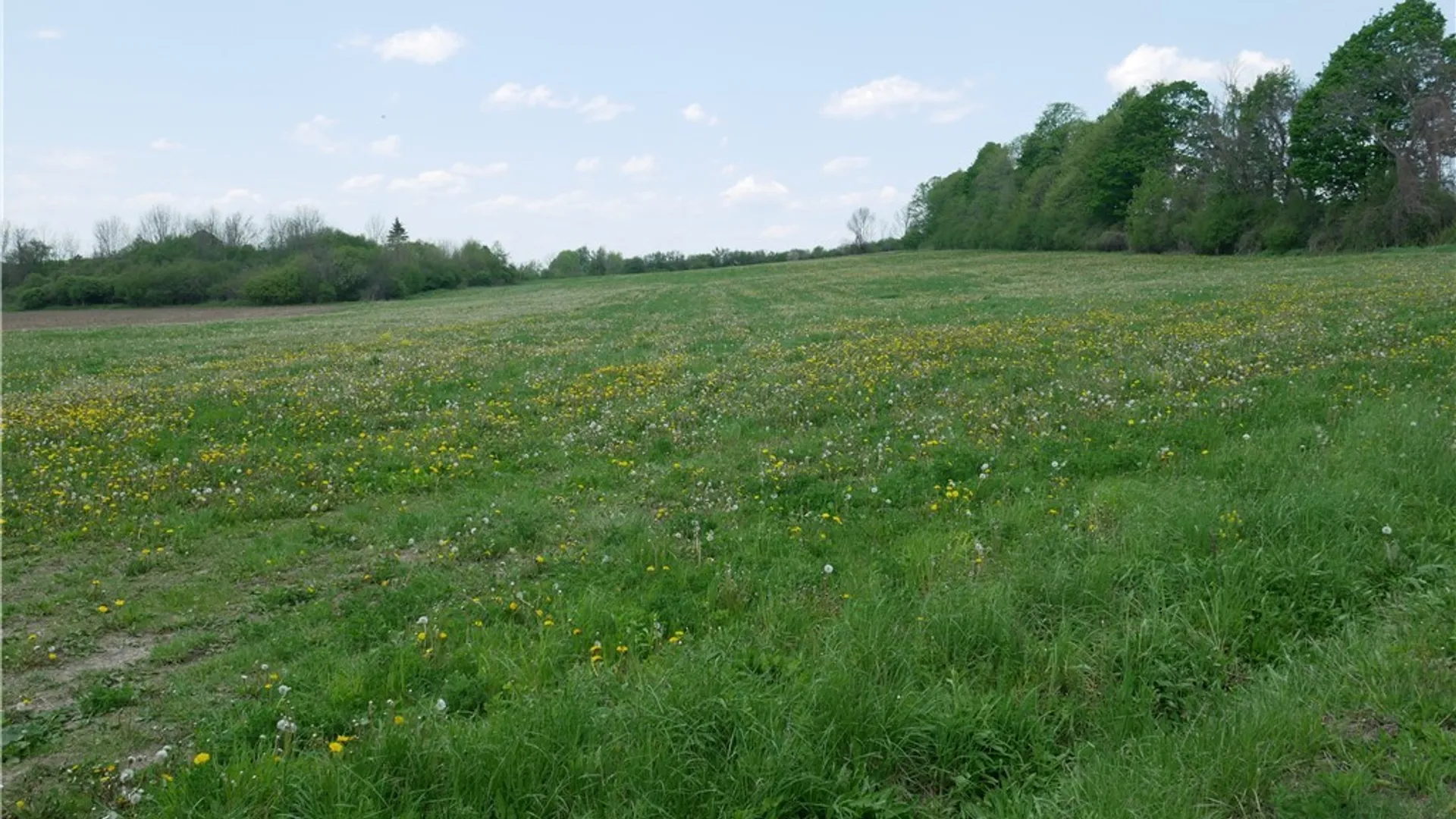 Property at Canning Factory Road, Marshall, NY 13328 6
