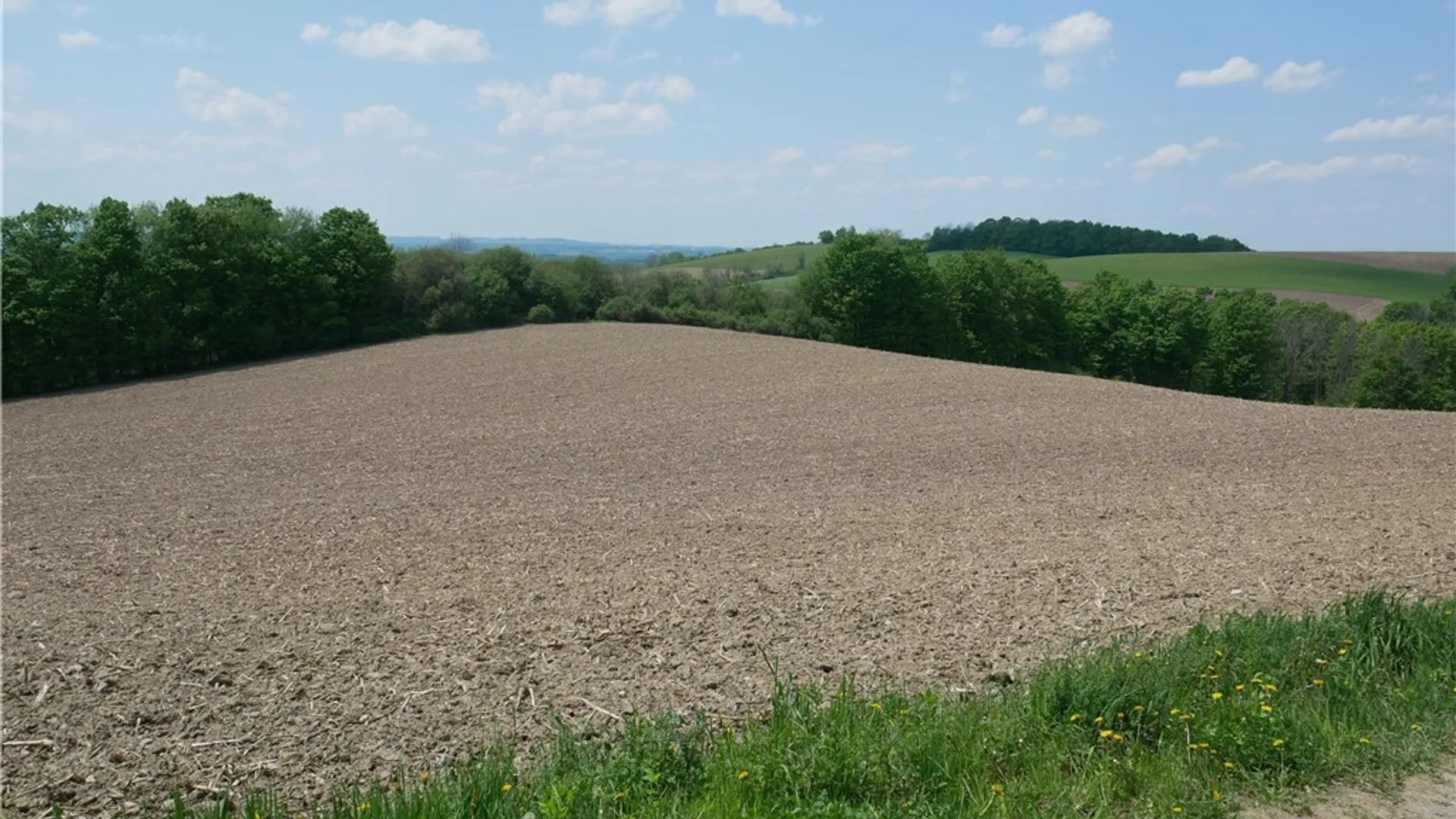 Property at Canning Factory Road, Marshall, NY 13328 12