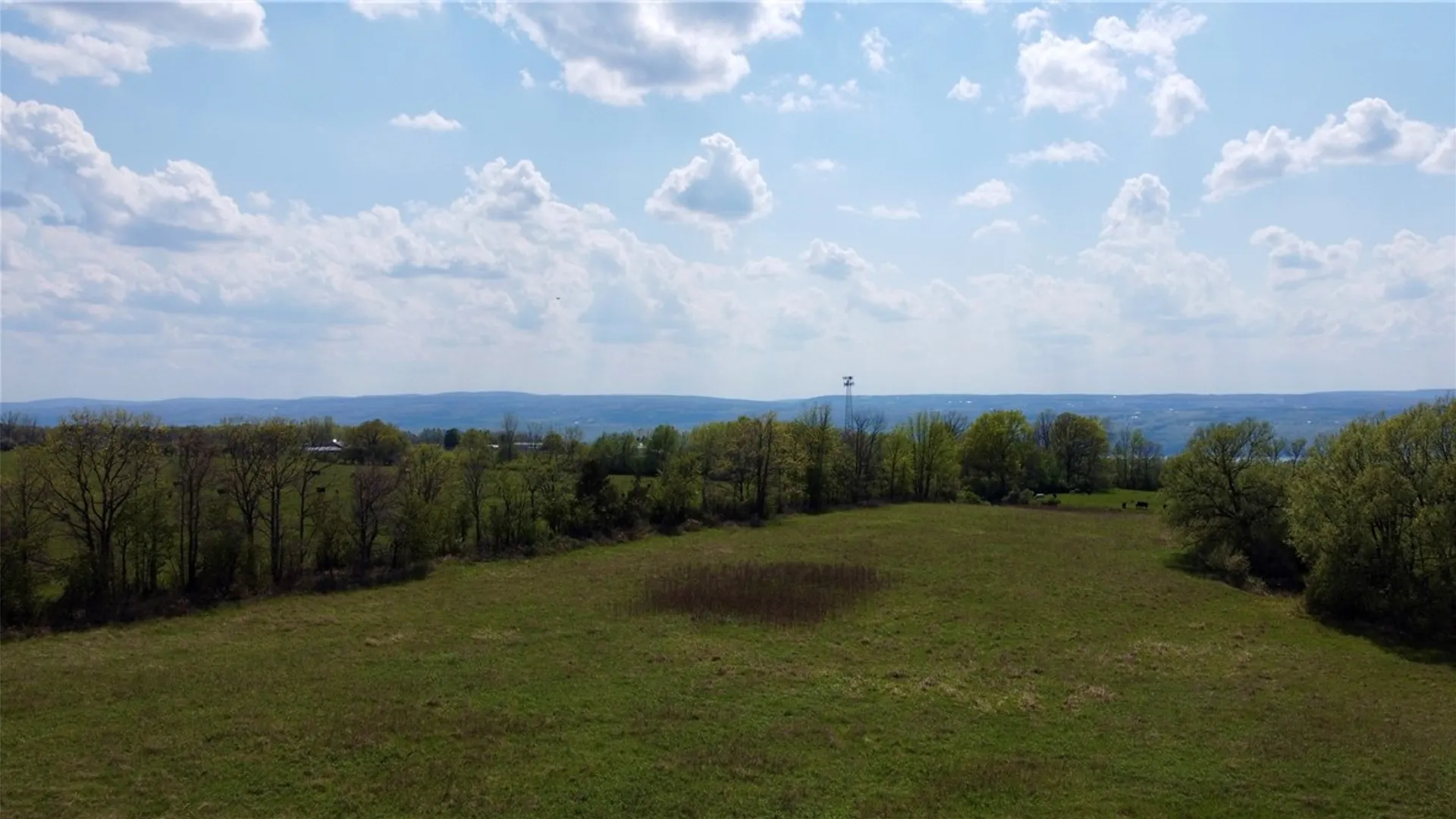 Property at 4040 Dugue Road, Hector, NY 14841 3