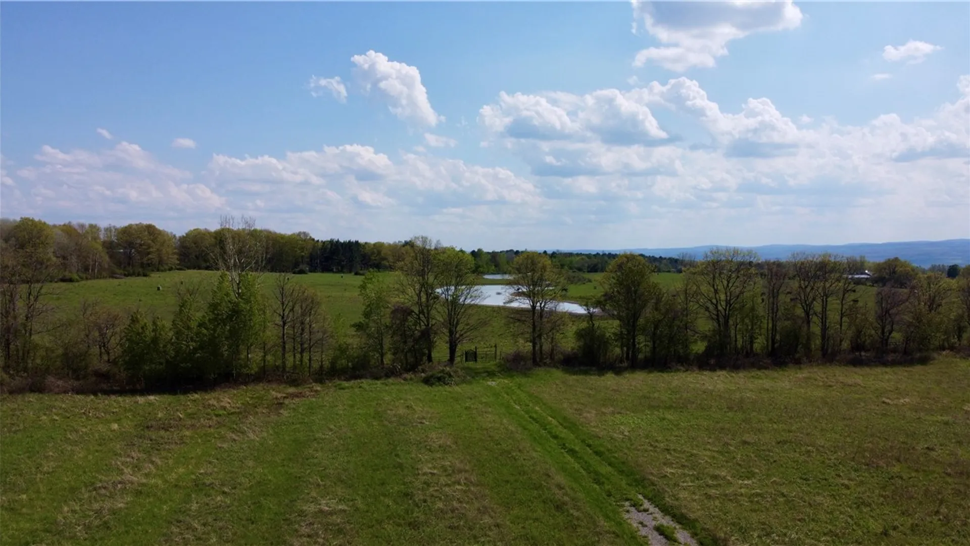 Property at 4040 Dugue Road, Hector, NY 14841 4