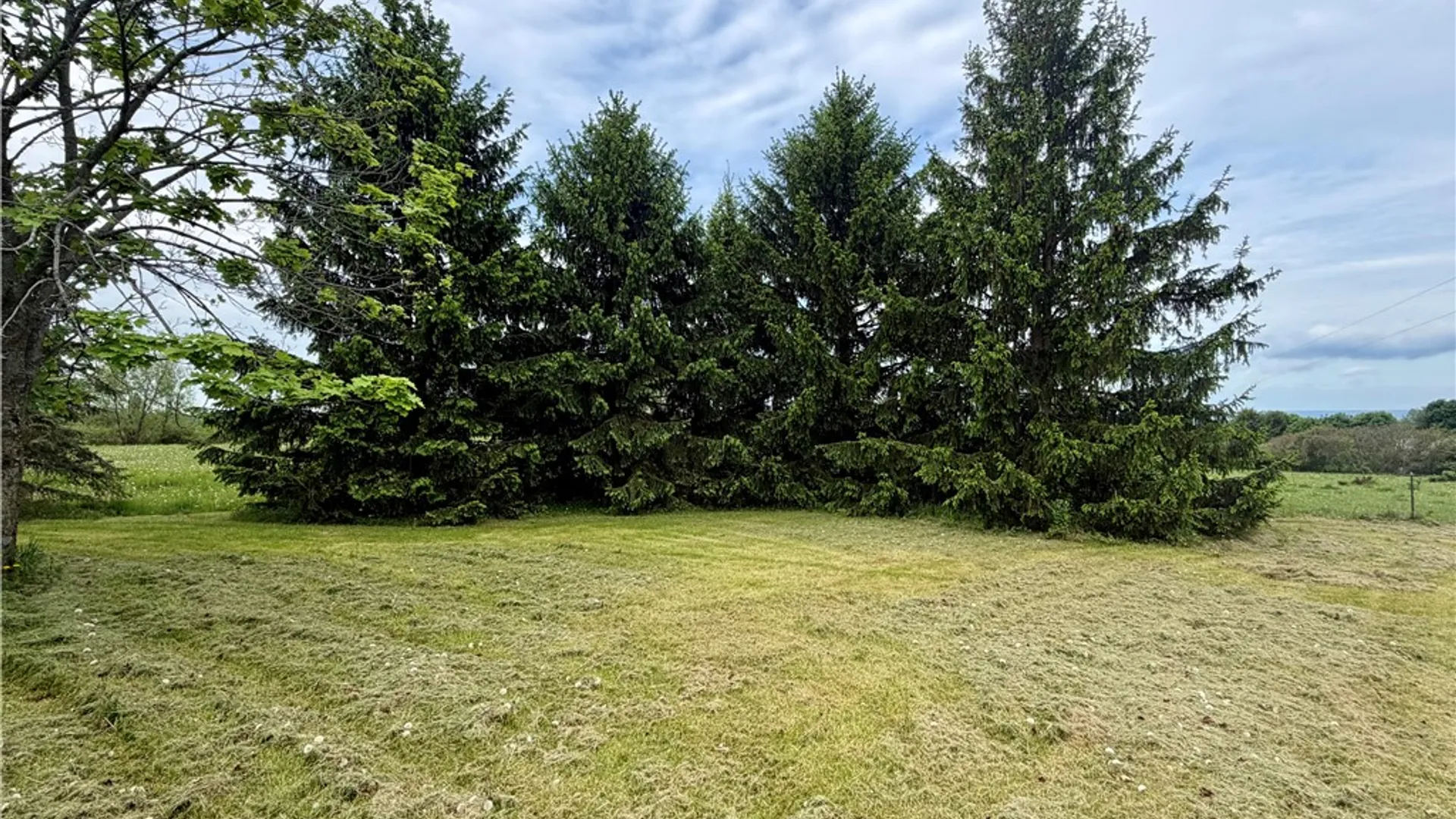 Property at 4040 Dugue Road, Hector, NY 14841 37