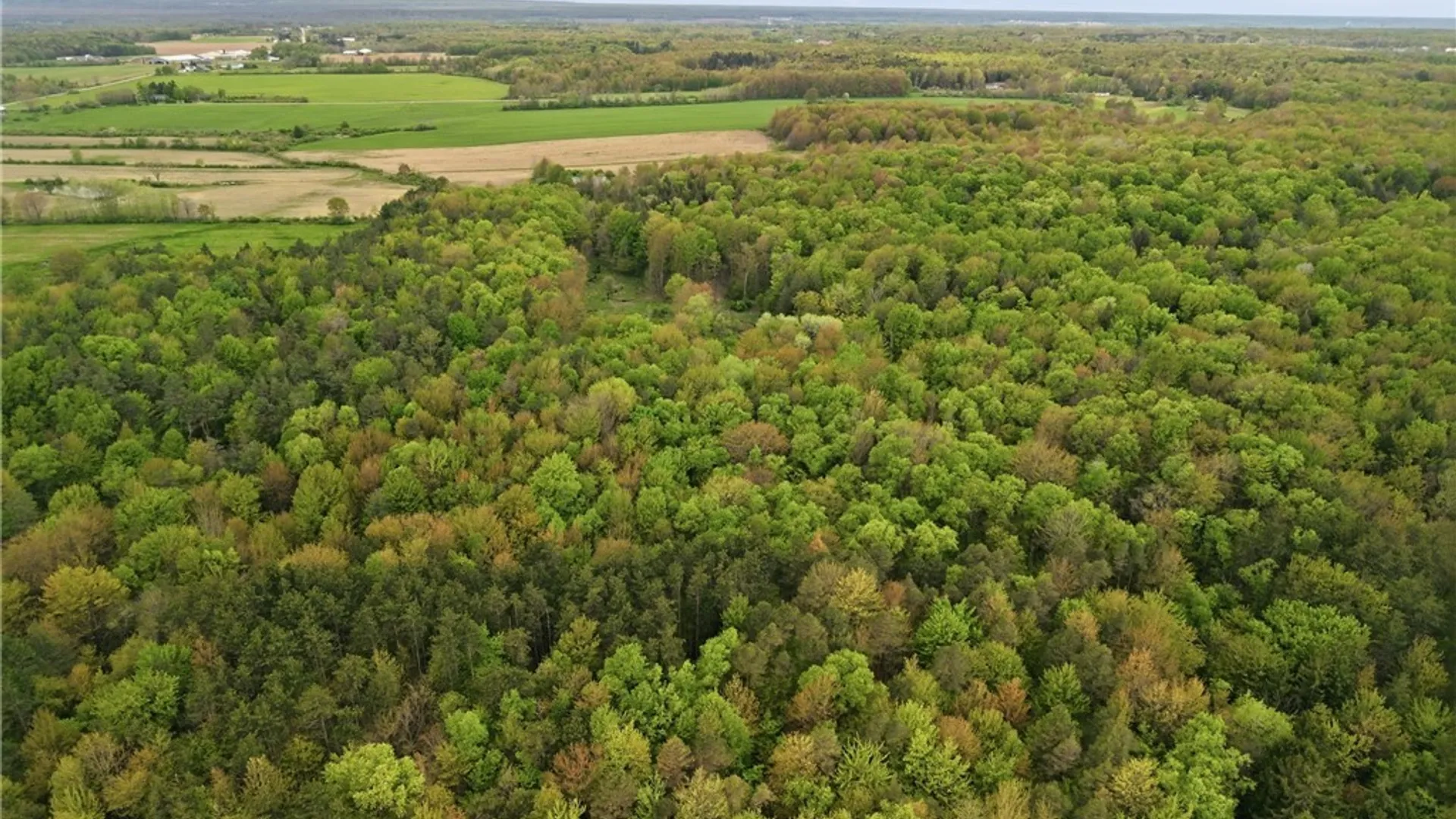 Property at 0 Genesee Road, North Collins, NY 14091 7