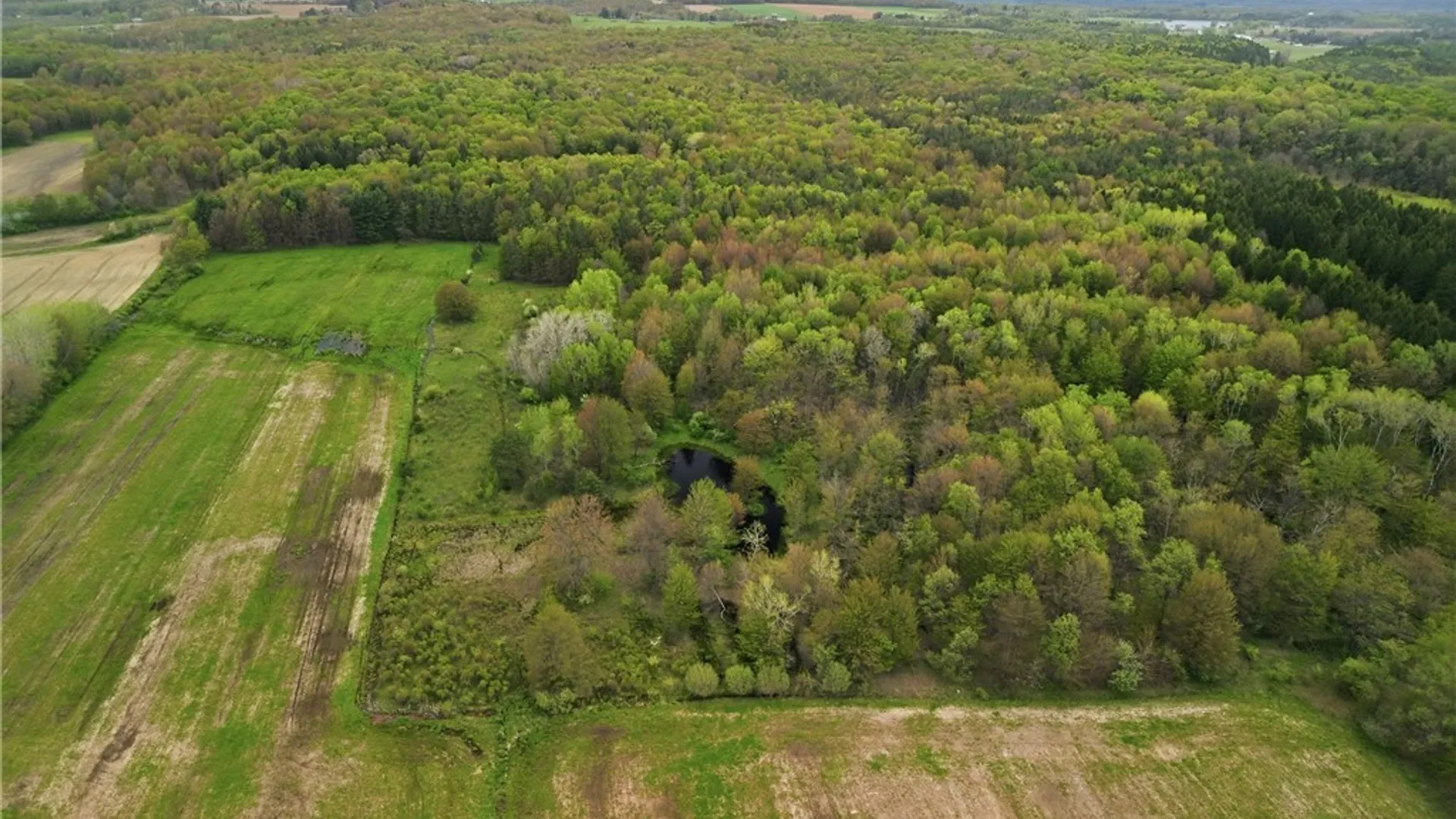 Property at 0 Genesee Road, North Collins, NY 14091 16