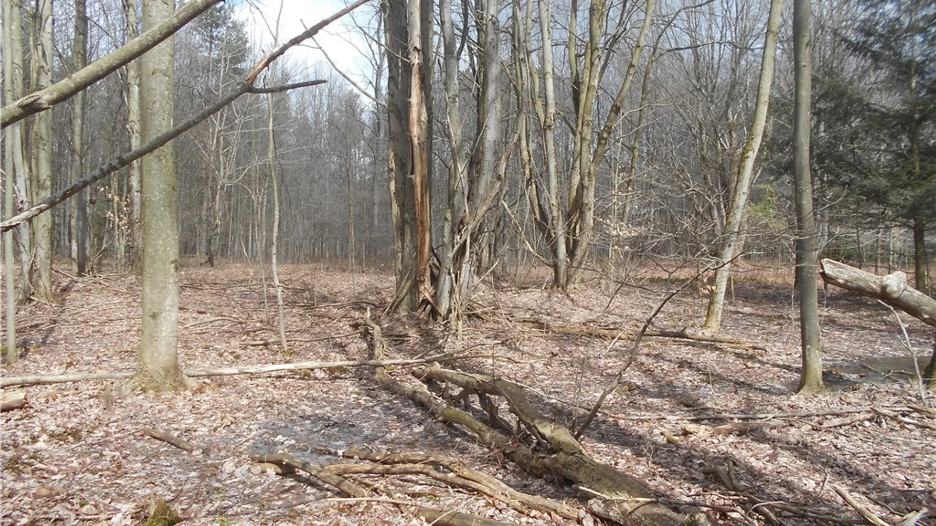 Property at 0 Genesee Road, North Collins, NY 14091 26