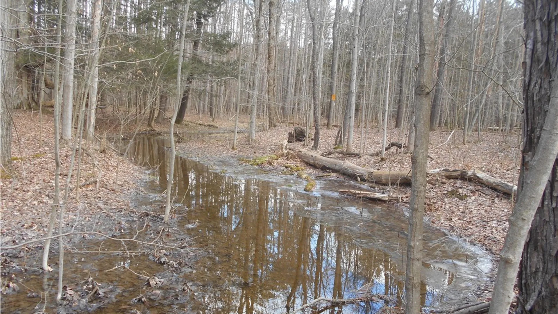 Property at 0 Genesee Road, North Collins, NY 14091 28