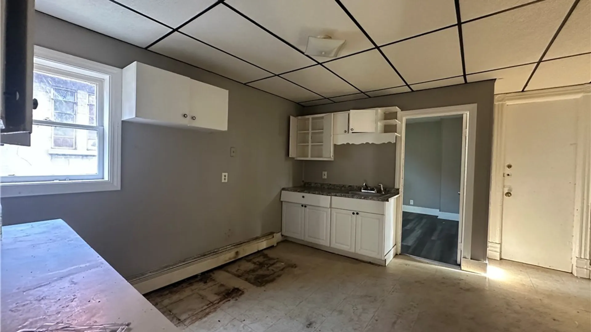 Property at 531 S Park Avenue, Buffalo, NY 14204 10