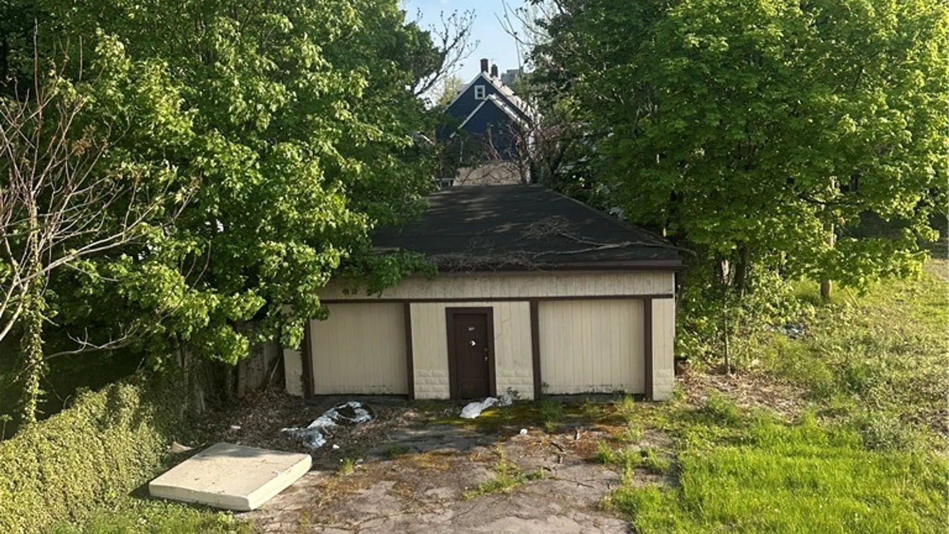 Property at 531 S Park Avenue, Buffalo, NY 14204 13