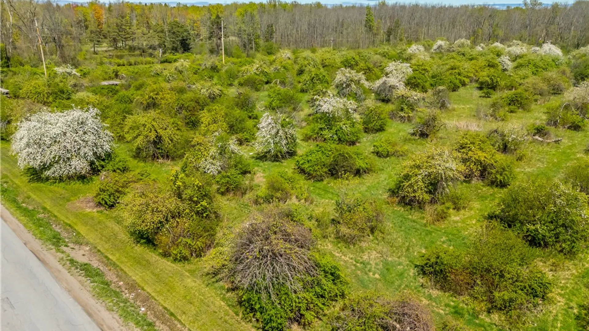 Property at 0 Pratt Road, Sodus, NY 14551 10
