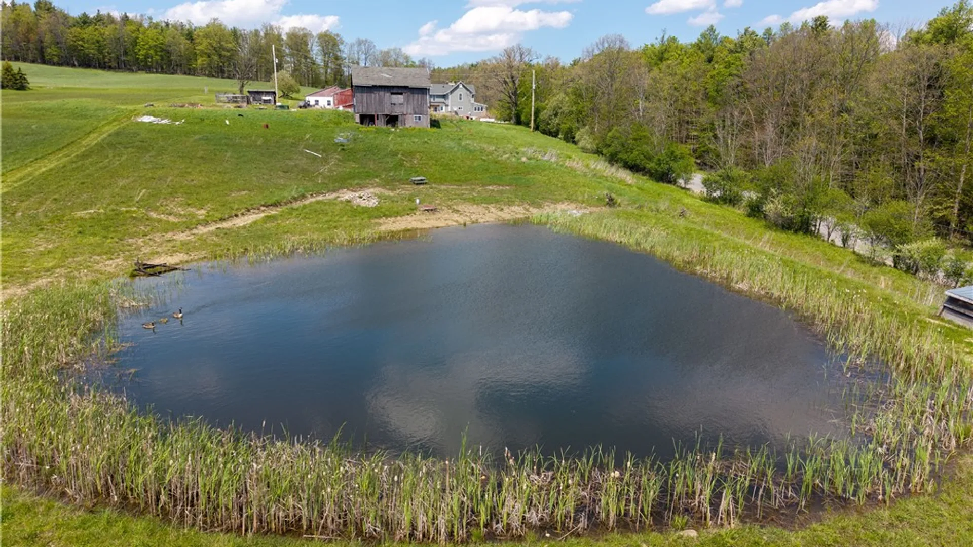 Property at 11288 Scott Hill Road, Ossian, NY 14822 46